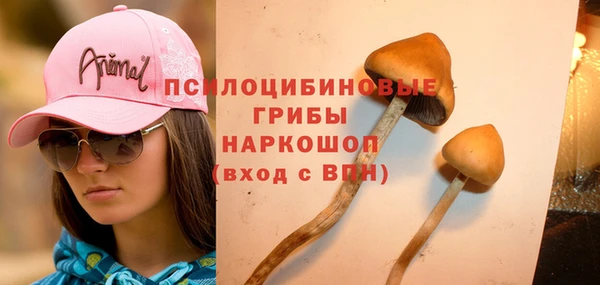 спайс Абинск