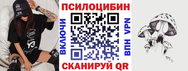 гидра ссылка  Иваново  Псилоцибиновые грибы Psilocybe  где купить  