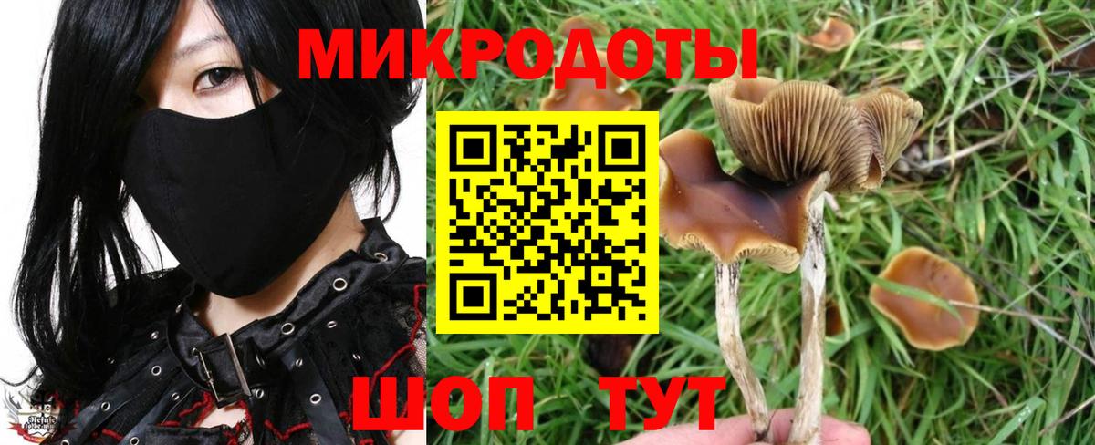 Иваново  купить   Вход с VPN  Псилоцибиновые грибы мицелий 